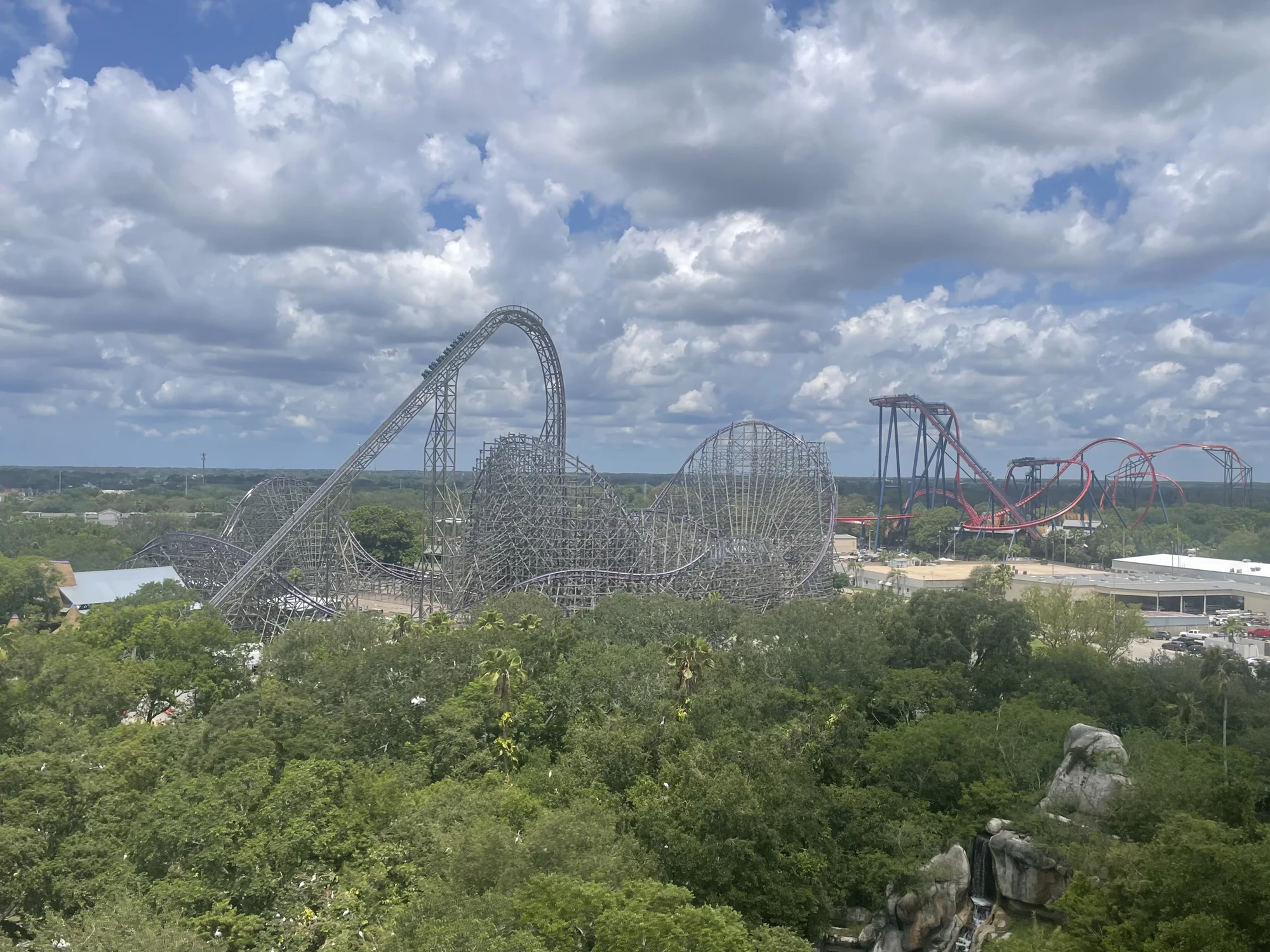 Iron Gwazi at Busch Gardens Tampa Bay